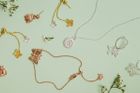 More pretty pictures...